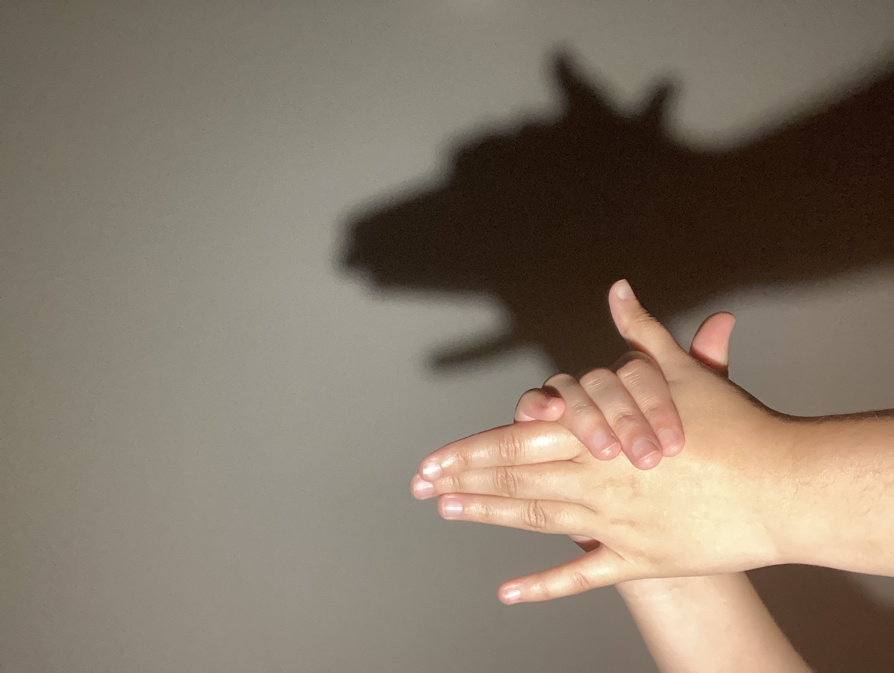 A dog shadow puppet.