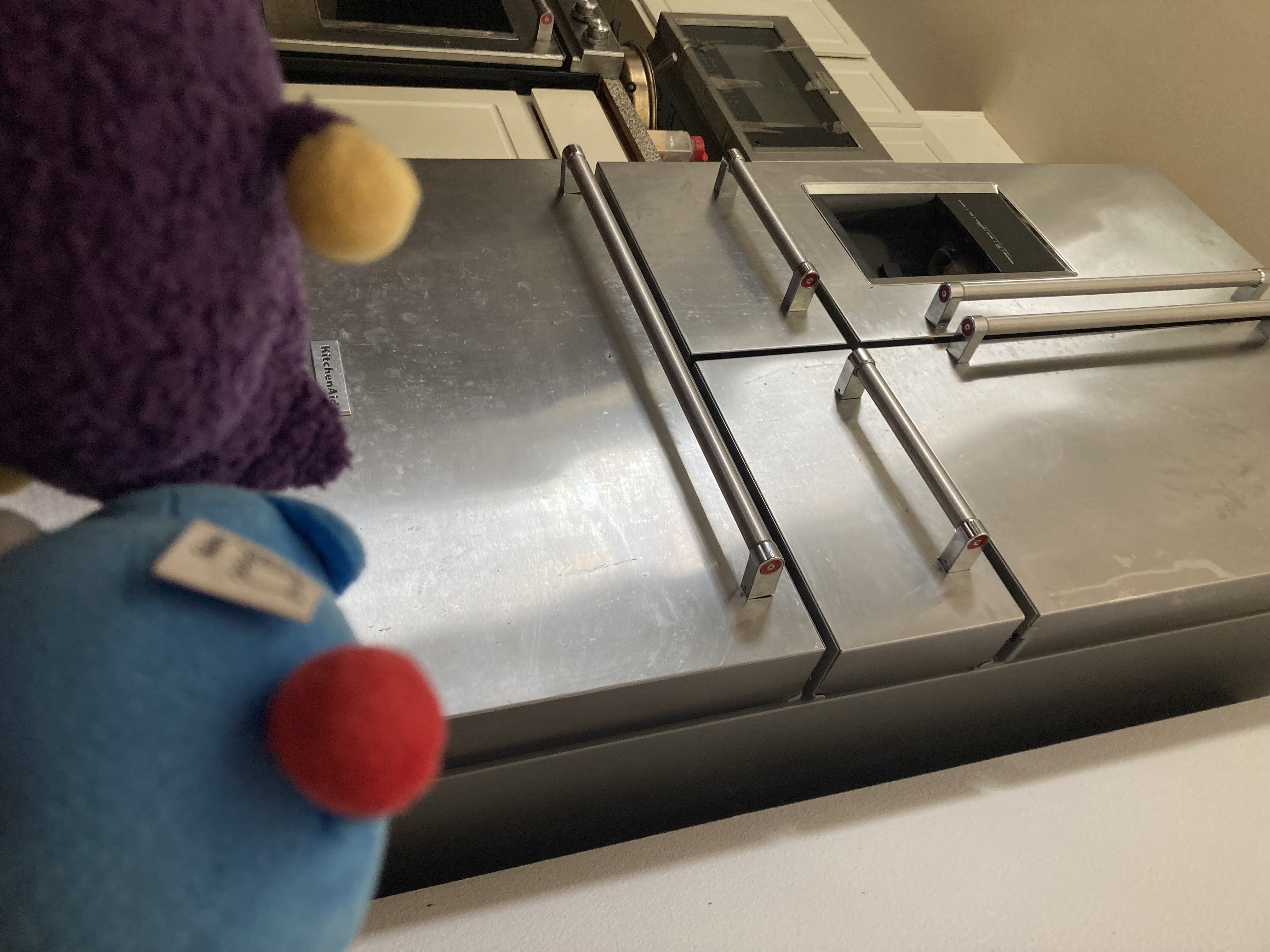 The two Peepy approach the fridge